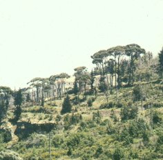 Natural Views Surrounding the Academy